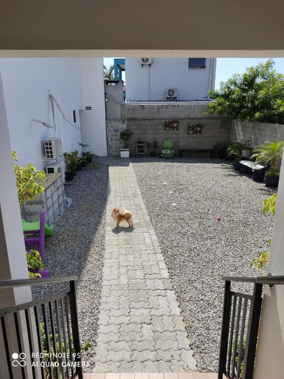  Apartamento para casal