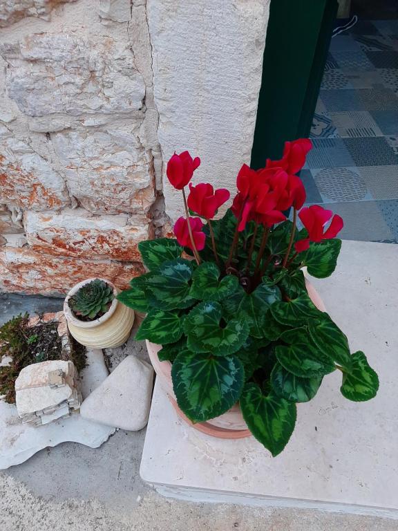 Fotografia z galérie ubytovania Casa Porta Verde v destinácii Bale