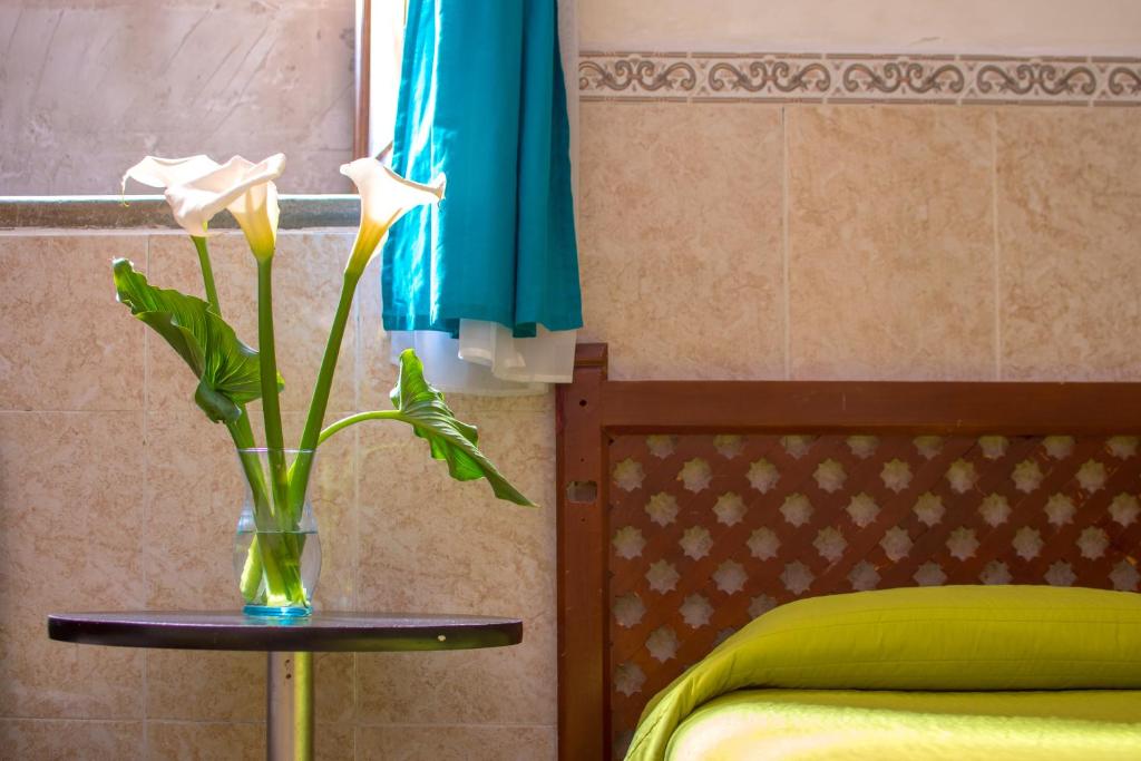 Casa Lupita Hostel - Basic Triple Room