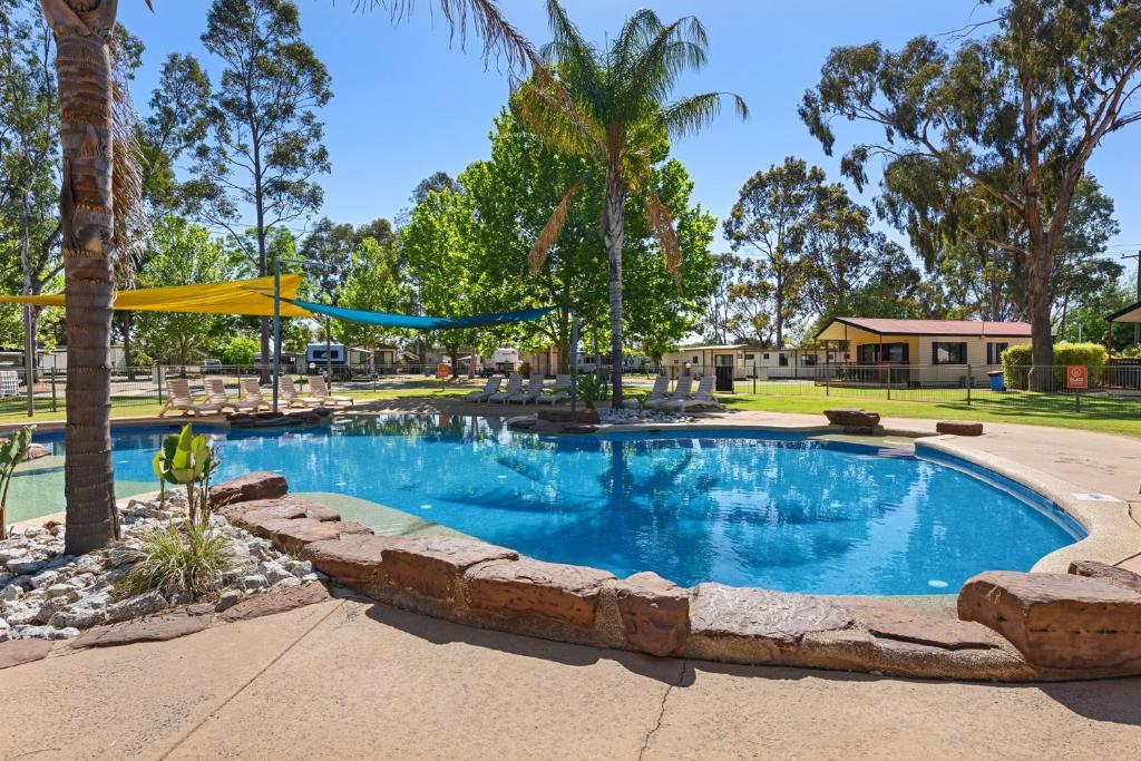 a swimming pool with a swing and palm trees at Discovery Parks - Moama West in Moama