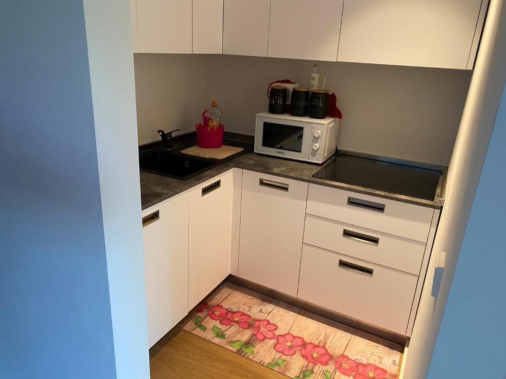 Kuchyň nebo kuchyňský kout v ubytování Casa Sciliar centro paese PINK