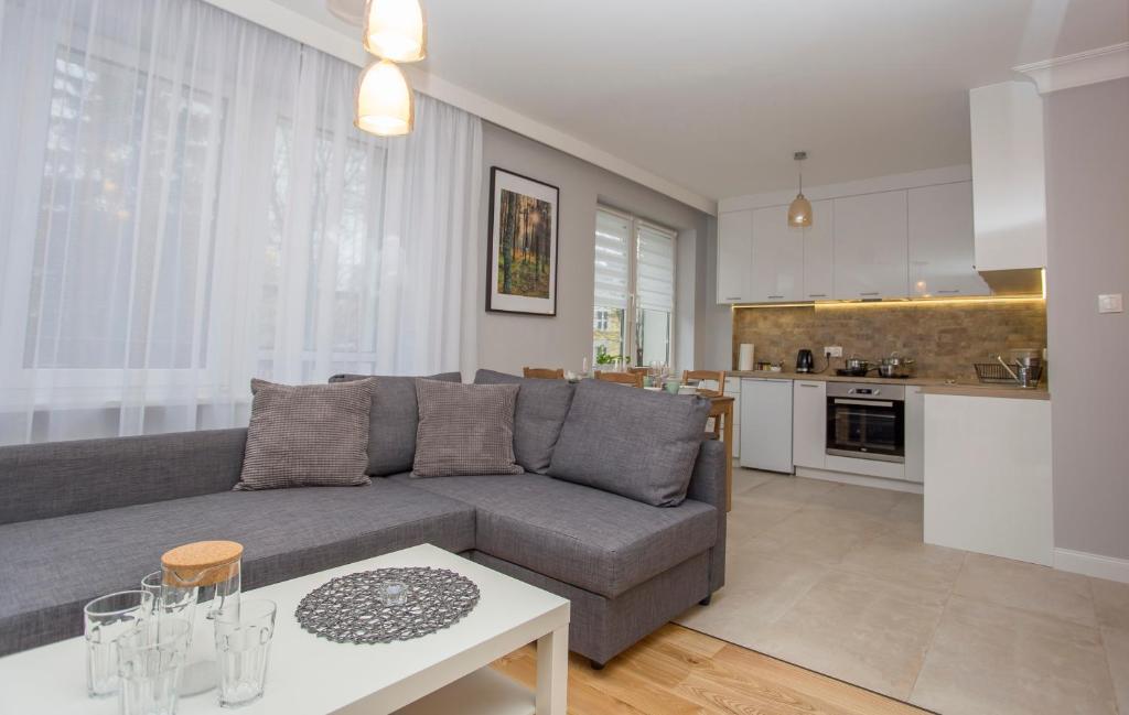 a living room with a gray couch and a kitchen at CR Apartament Ścisłe Centrum Aleja Bluesa in Białystok
