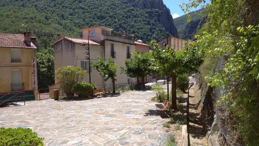 a street in a town with buildings and trees at Pied A Terre in Amélie-les-Bains-Palalda