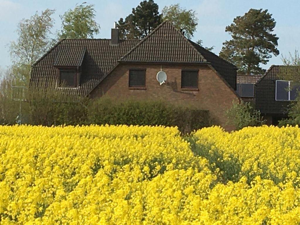 une maison dans un champ de fleurs jaunes dans l'établissement Zwischen den Feldern, à Brebel