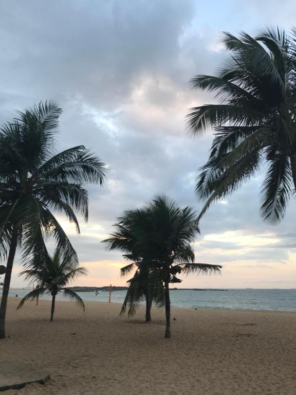  Flat Na Praia da Costa