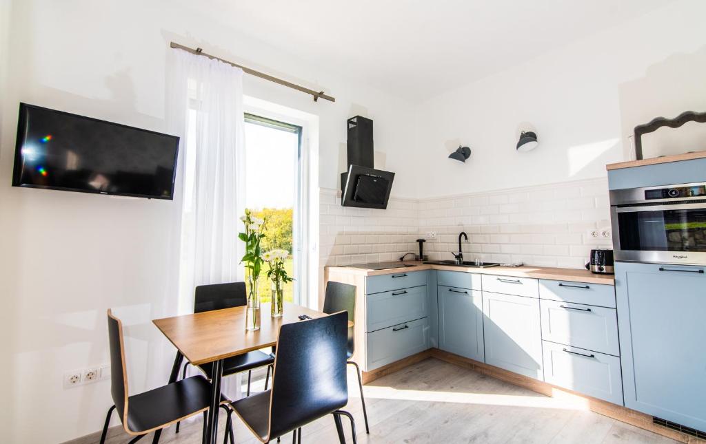Kuchyň nebo kuchyňský kout v ubytování Vinorell Apartman