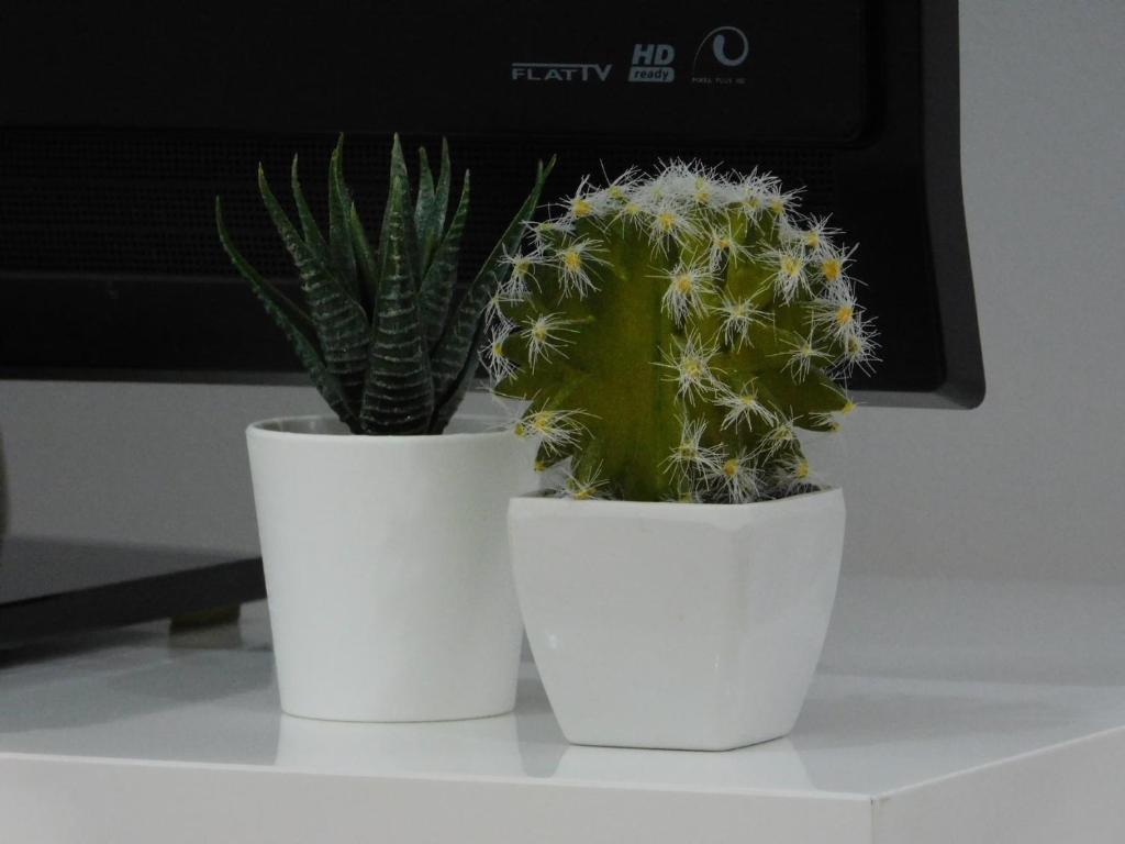 Apartments Mateo - 13