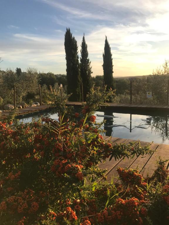 Zahrada ubytování B&B Il Pettirosso di Siena
