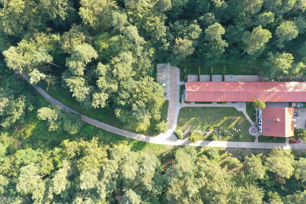 an aerial view of a building in the middle of a forest at Agroturystyka w Lesie in Dzierzążno