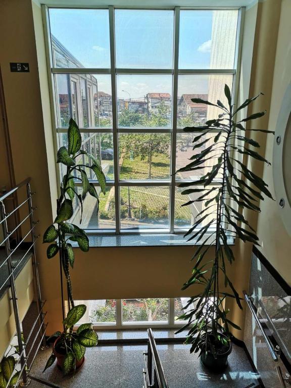 Hotel Elegance - Resim 6