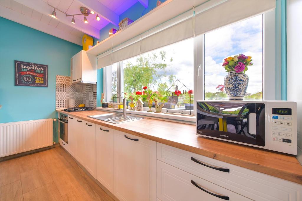 DomneştiにあるHappy Place - Casuta Albastraのキッチン(電子レンジ付きカウンター、窓付)