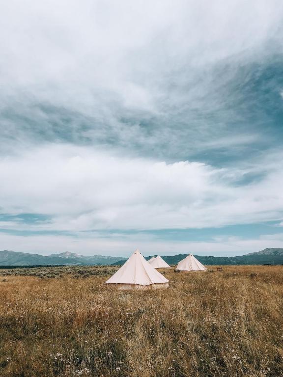 Příroda nedaleko luxury tent
