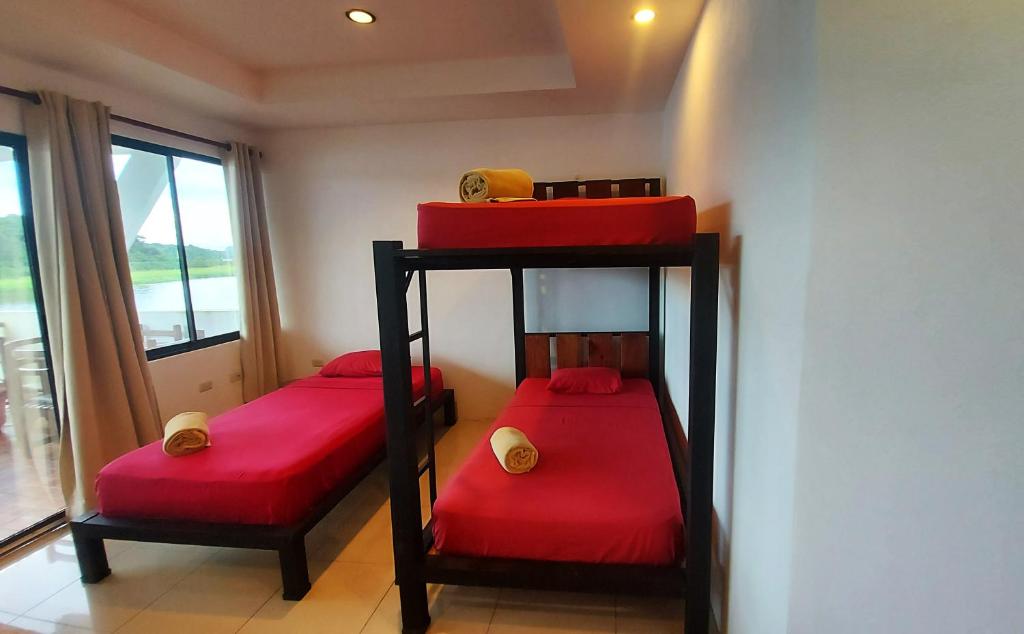 Postel nebo postele na pokoji v ubytování Tortuguero Adventures GuestHouse