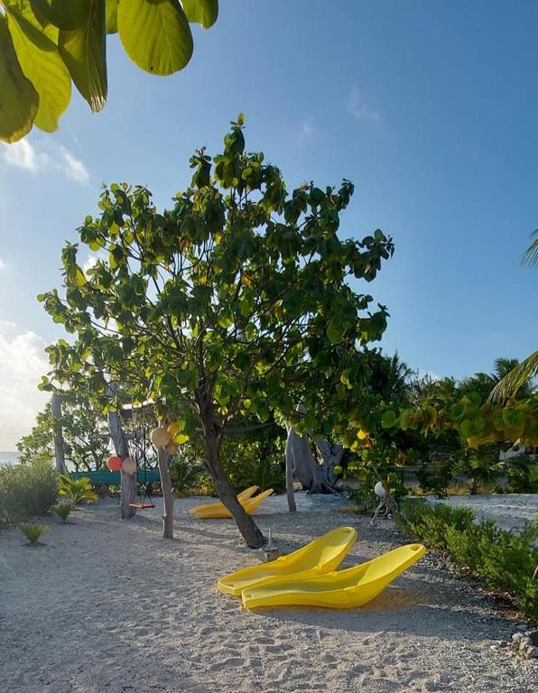 Giardino di Pension Tiputa Lodge Rangiroa