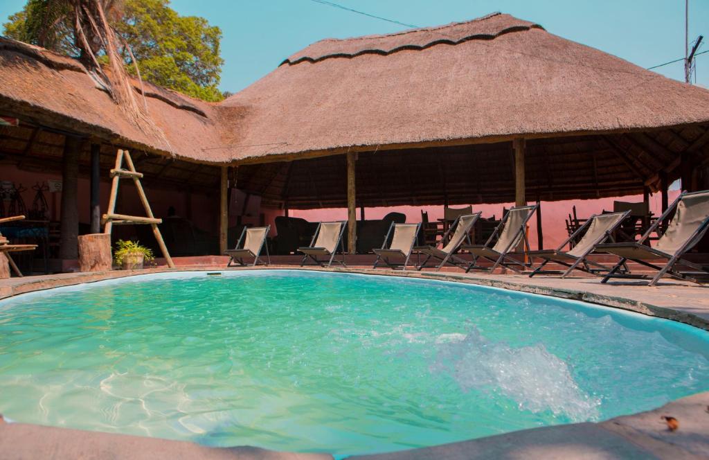 a swimming pool with chairs and umbrellas at Lusaka Backpackers in Lusaka