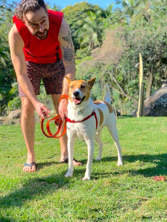 Pet ou pets ficando com hóspedes em Smart Hotel Reserva Ilhabela