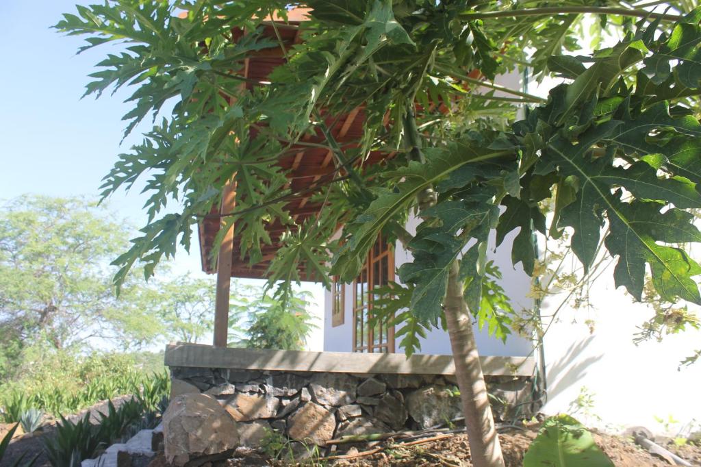Zahrada ubytování La Fora Ecolodge
