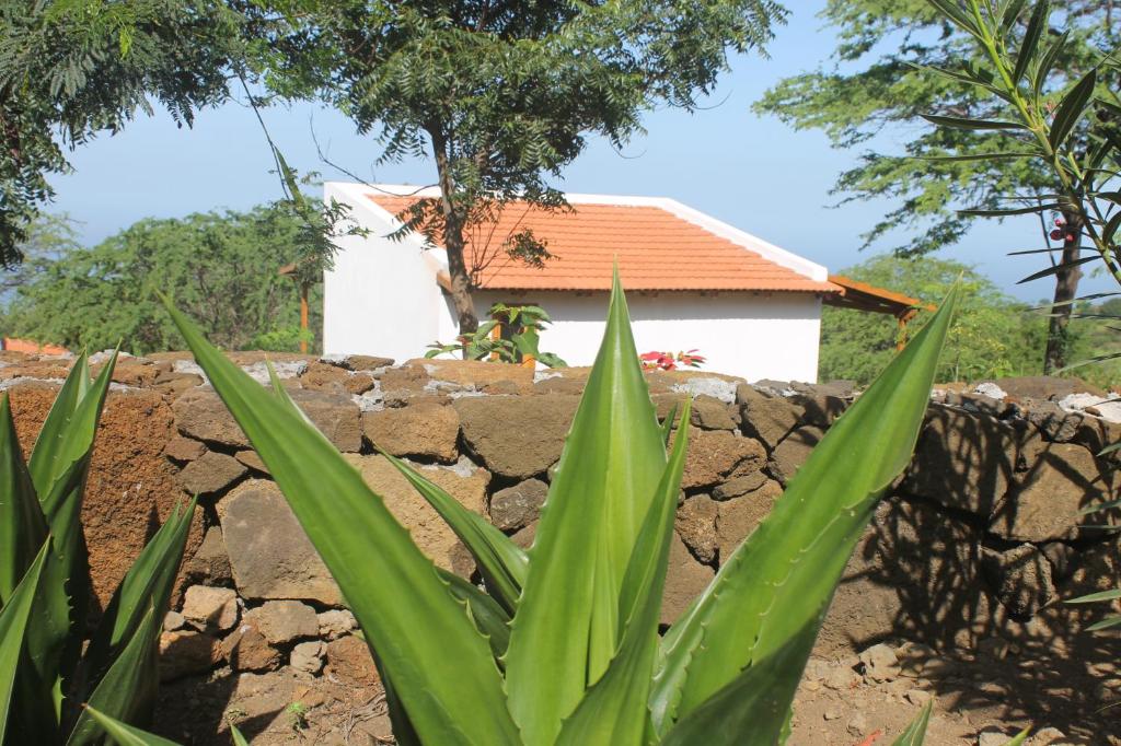 Zahrada ubytování La Fora Ecolodge
