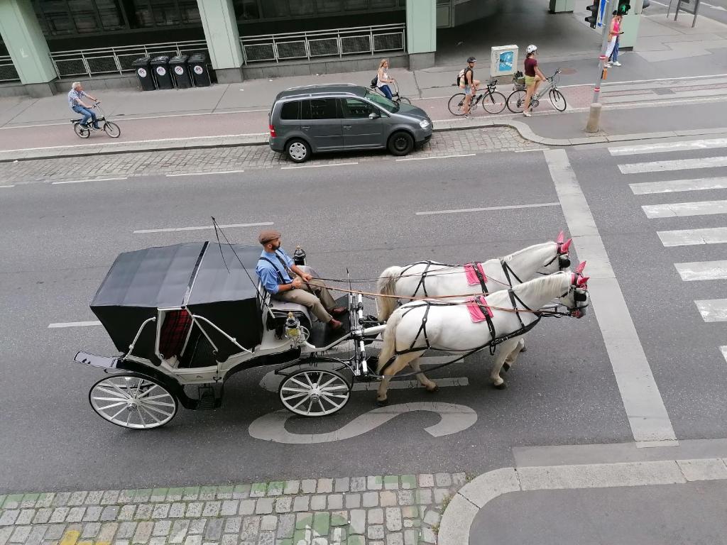 Hosté ubytování Operngasse-Karlsplatz