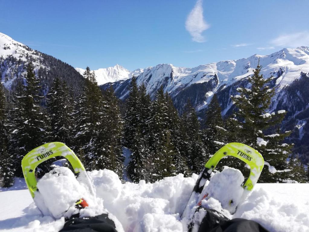 Mountain alpine v zimě