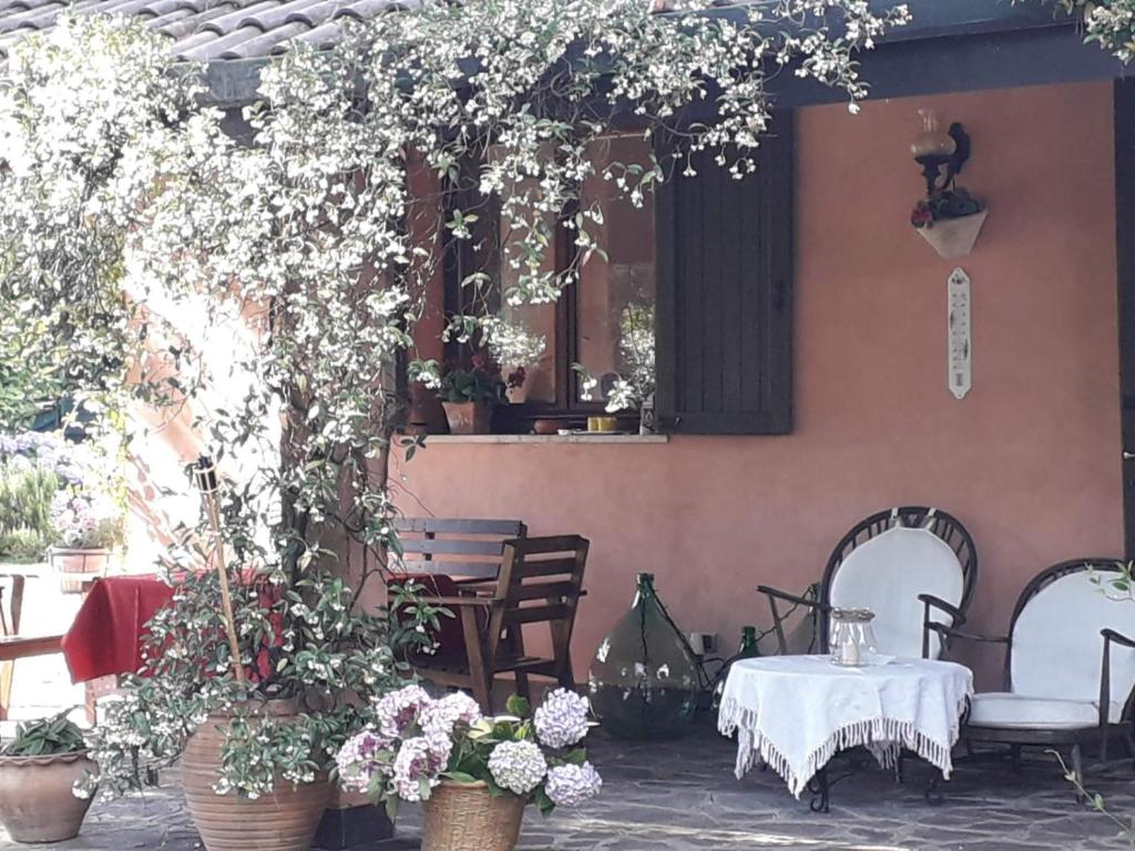 O grădină în afara B&B Al Roncaccio