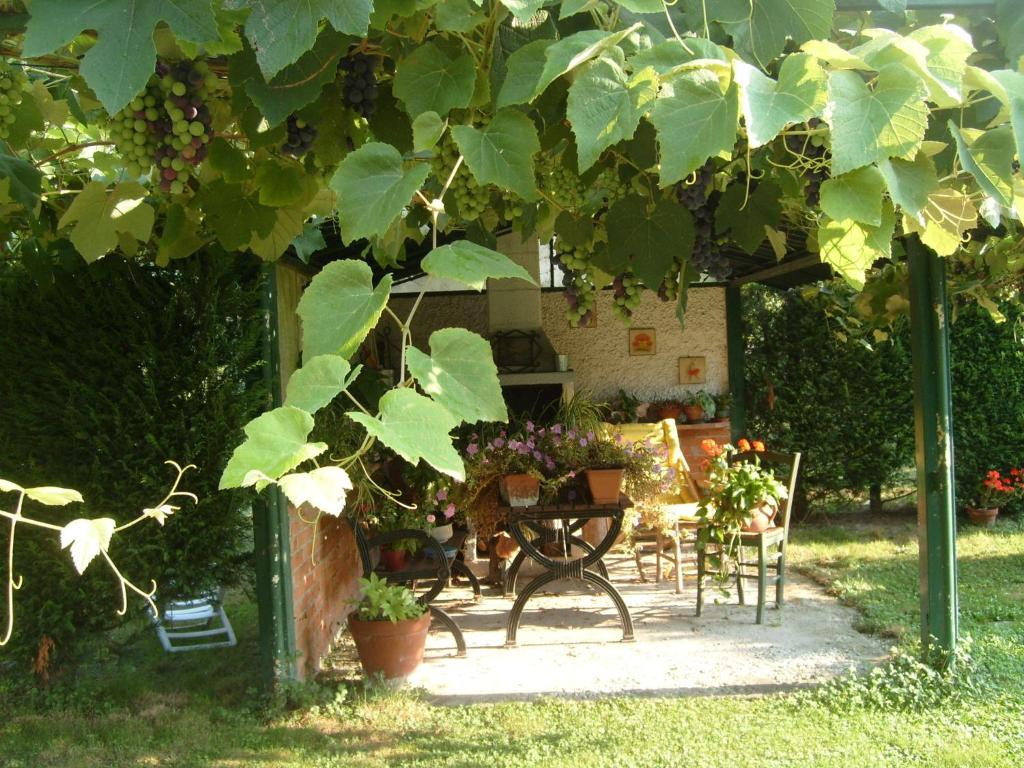 Zahrada ubytování B&B Casa Manuelli