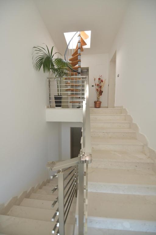 Zdjęcie z galerii obiektu Noemi B&B w mieście Modugno