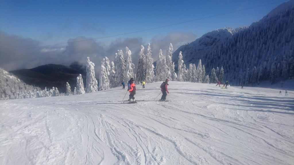 Apartament 2706 Alpin Resort, etaj 7, Poiana Bra?ov - Resim 38