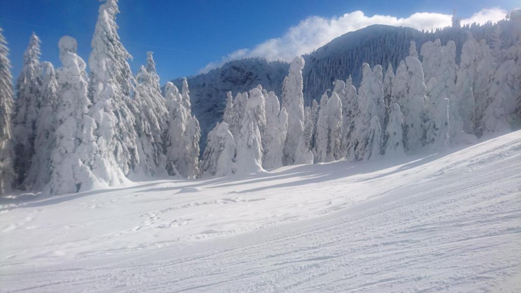 Apartament 2706 Alpin Resort, etaj 7, Poiana Bra?ov - Resim 34