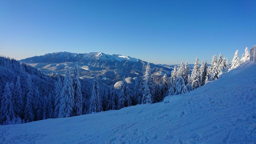 Apartament 2706 Alpin Resort, etaj 7, Poiana Bra?ov - Resim 40