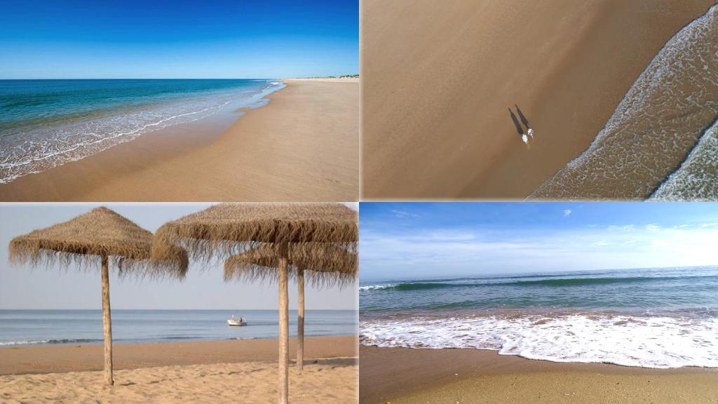 Plaża w domu wakacyjnym lub w pobliżu