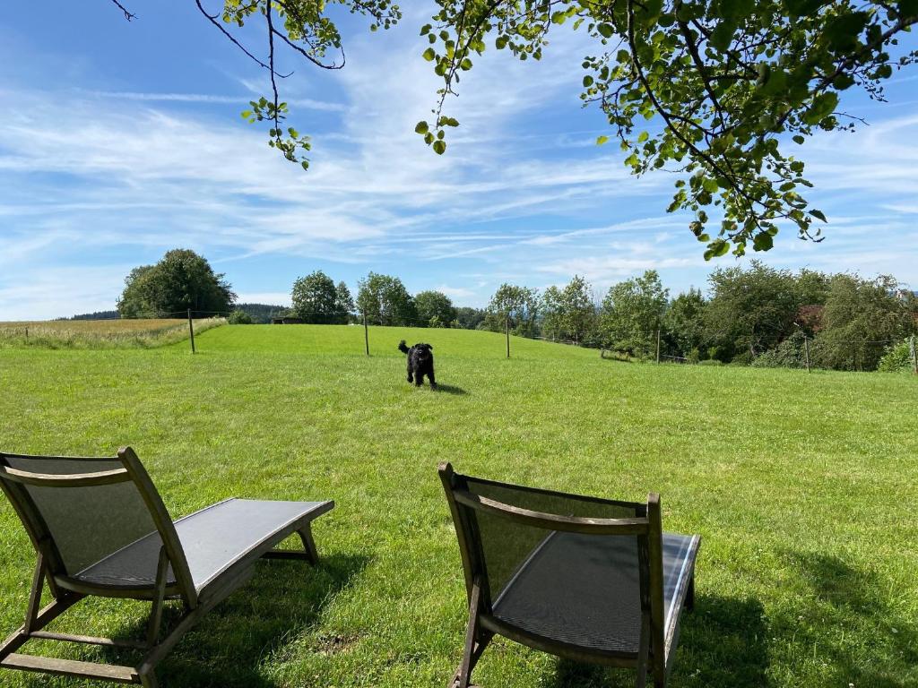 Zahrada ubytování Chalet Landsberg