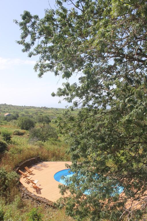 Bazén v ubytování La Fora Ecolodge nebo v jeho okolí