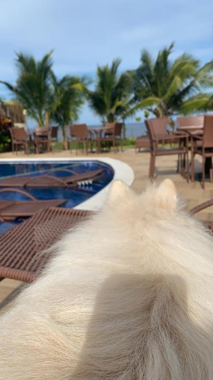  Eco Ville Village Itacimirim - Pé na areia