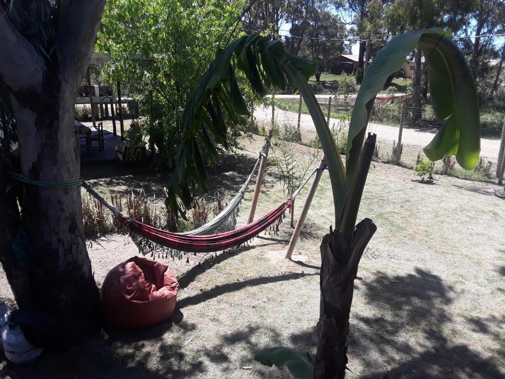 Zahrada ubytování Posada El Tucán