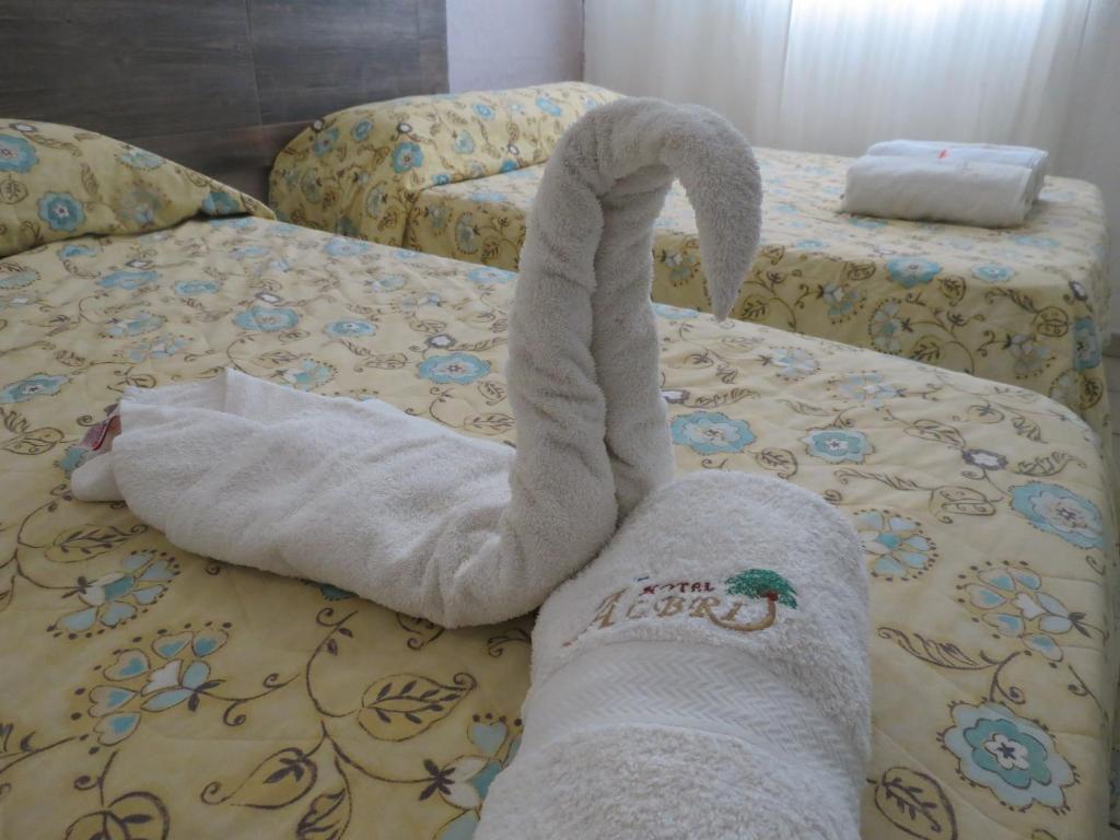 Fotografie z fotogalerie ubytování Hotel Albri by Rotamundos v destinaci Tecolutla