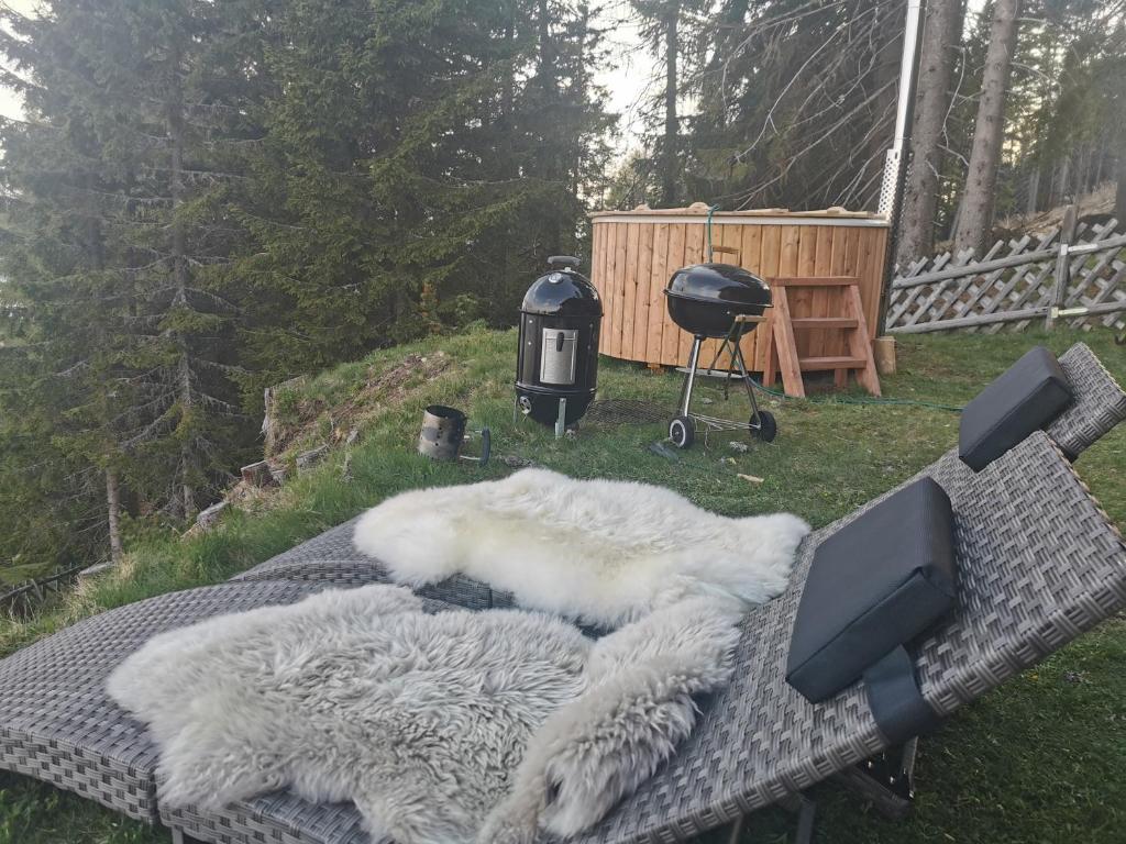 Fotografija u galeriji objekta Chalet Petit u gradu Kanzelhöhe