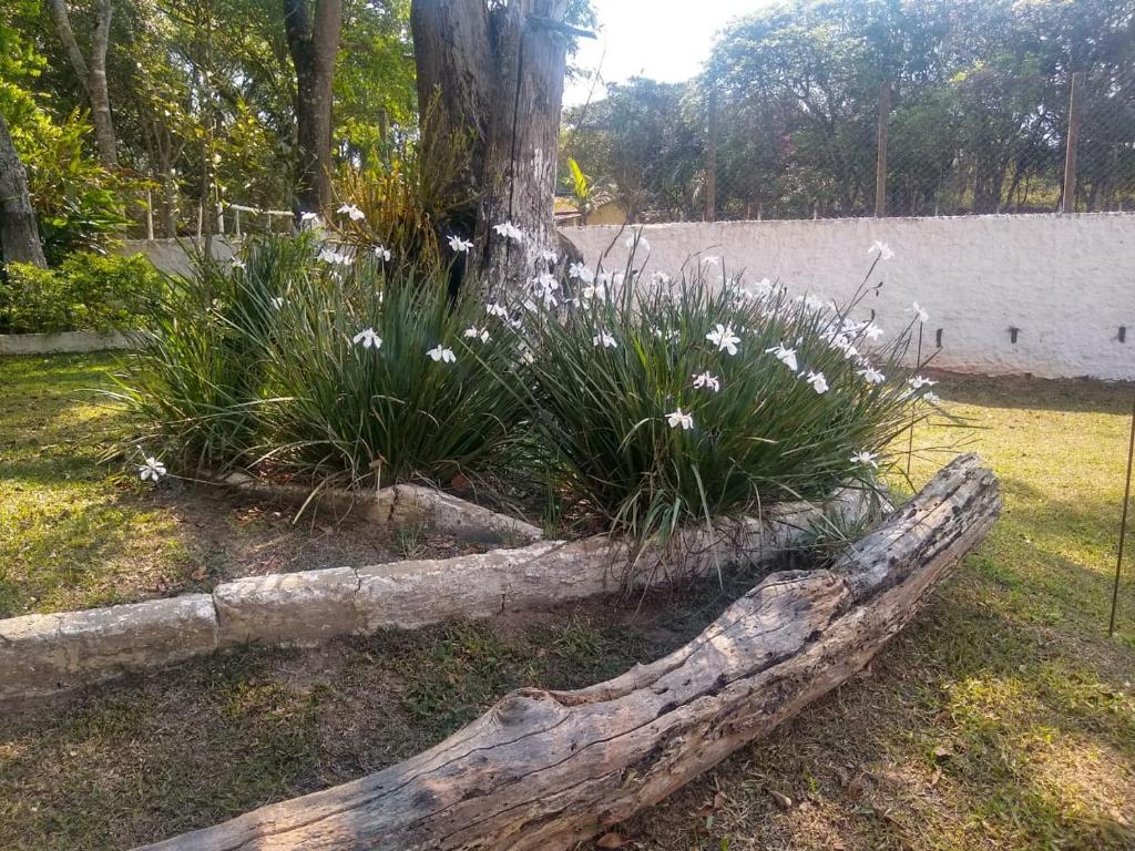  Chácara do Vô Dori