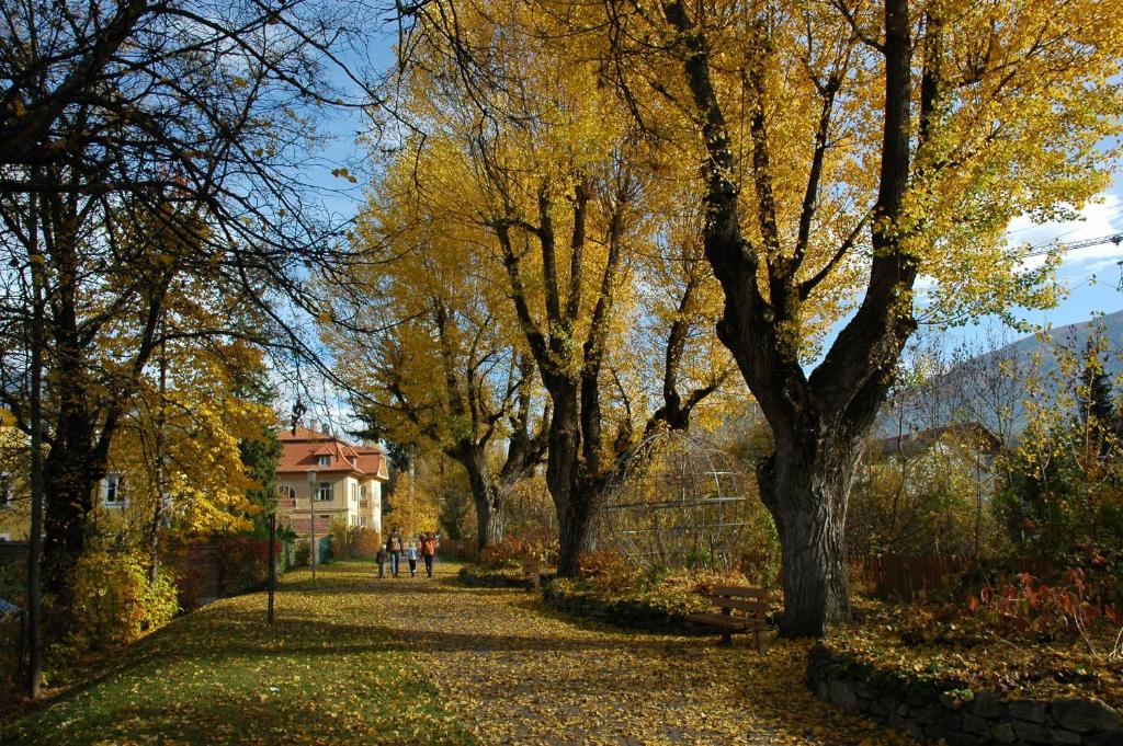 Príroda v okolí apartmánu