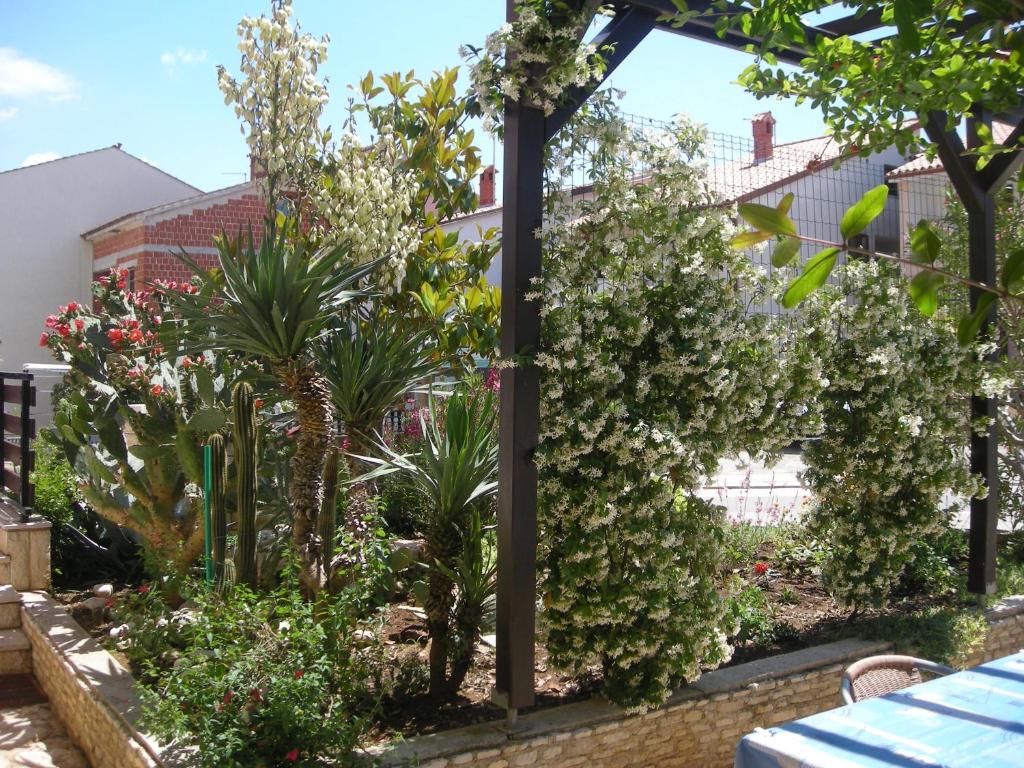 Apartments Golubic - 15