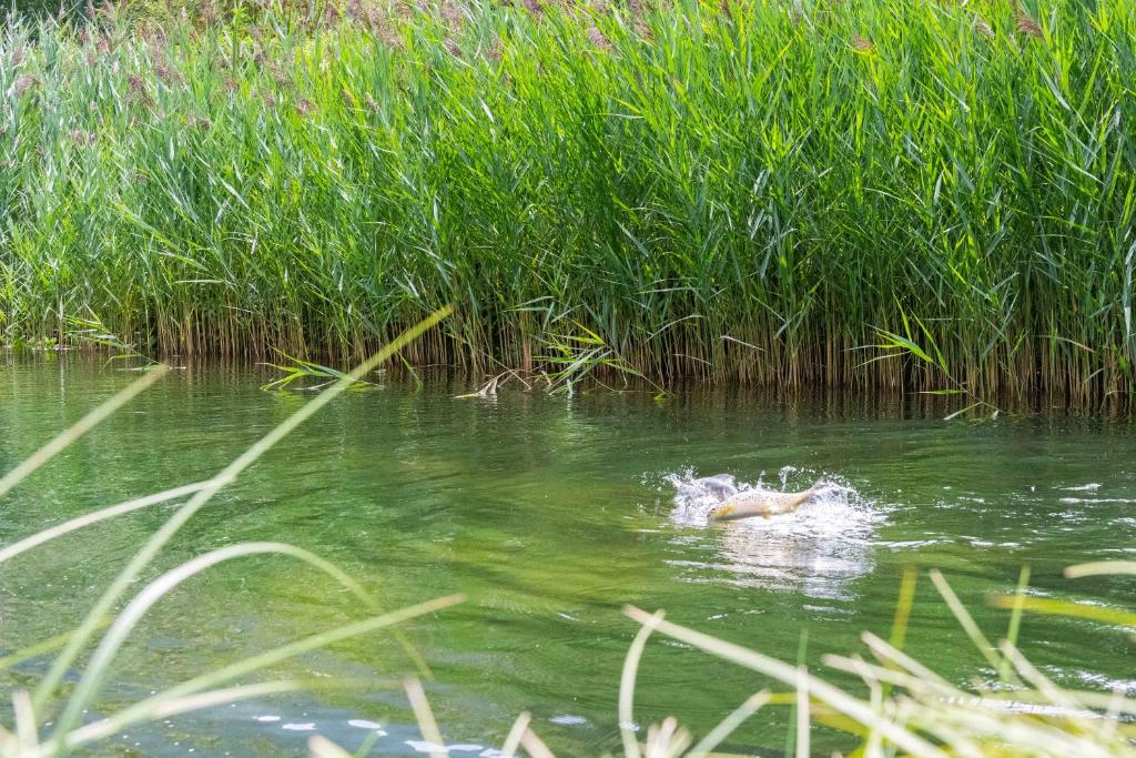 Výhled na řeku, která protéká v blízkosti penzionu – hostince