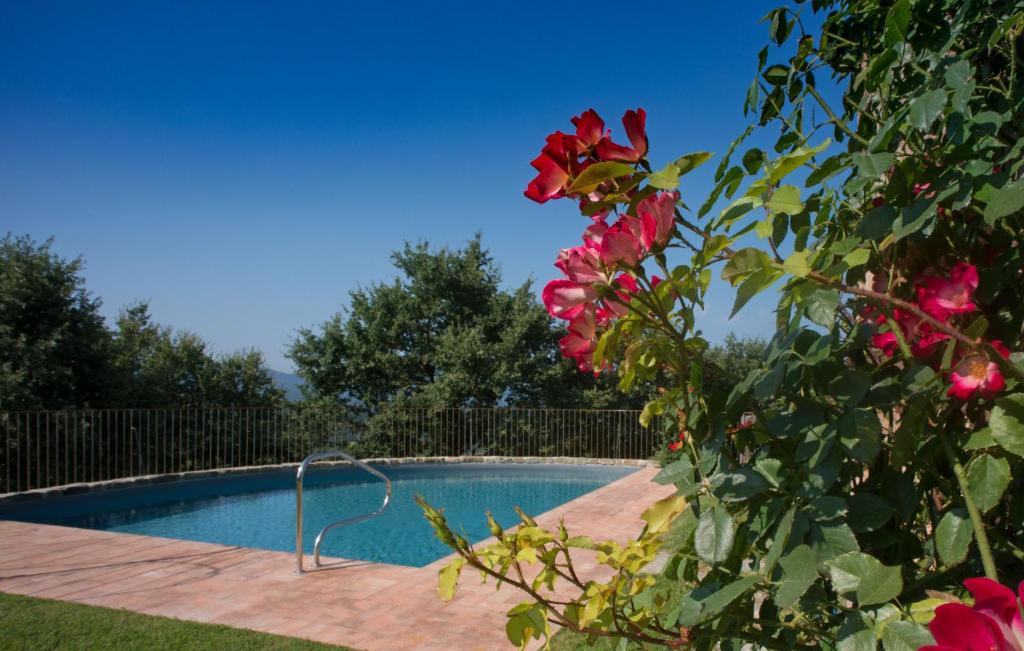 Bazén v ubytovaní Villa Tinaia - Homelike Villas alebo v jeho blízkosti