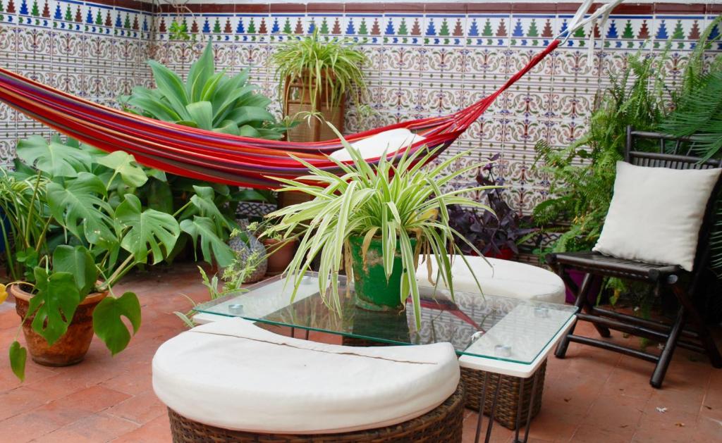 a hammock in a room with a bunch of plants at Backpacker Al-Katre in Córdoba