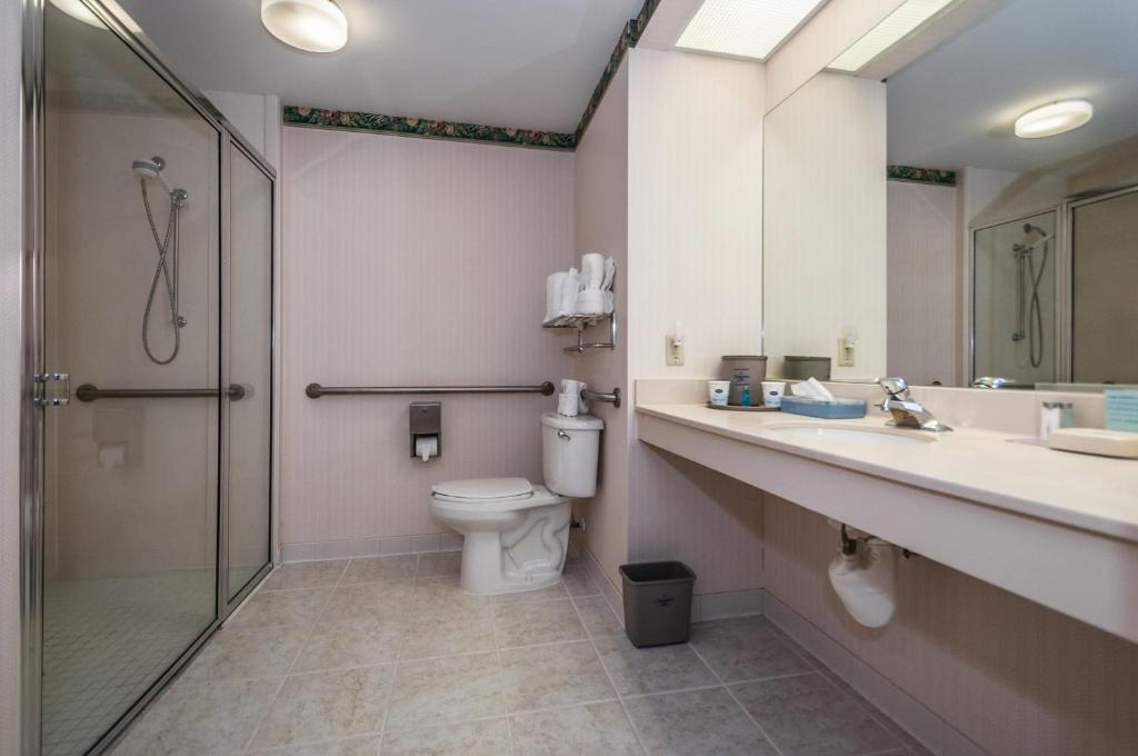 a bathroom with a shower and a toilet and a sink at Holiday Inn - St. Petersburg West by IHG in St Petersburg