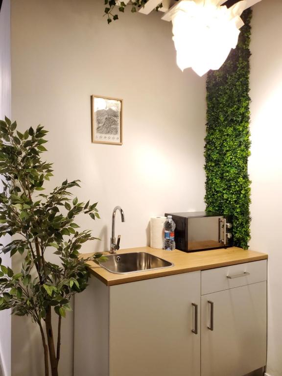 Small and Cozy Rooms - G - 与露台的工作室