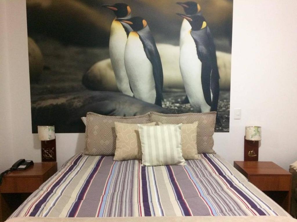  Pousada Dos Pinguins