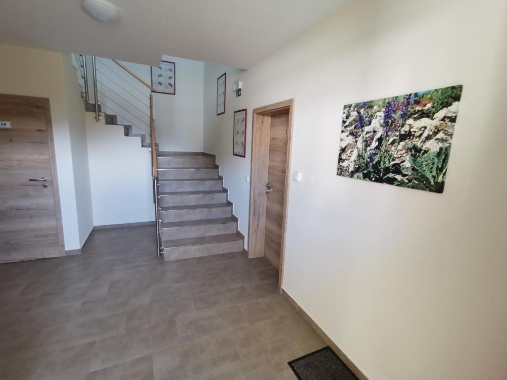 Fotografie z fotogalerie ubytování Comenius Moravus vinařský dvůr v destinaci Mikulov