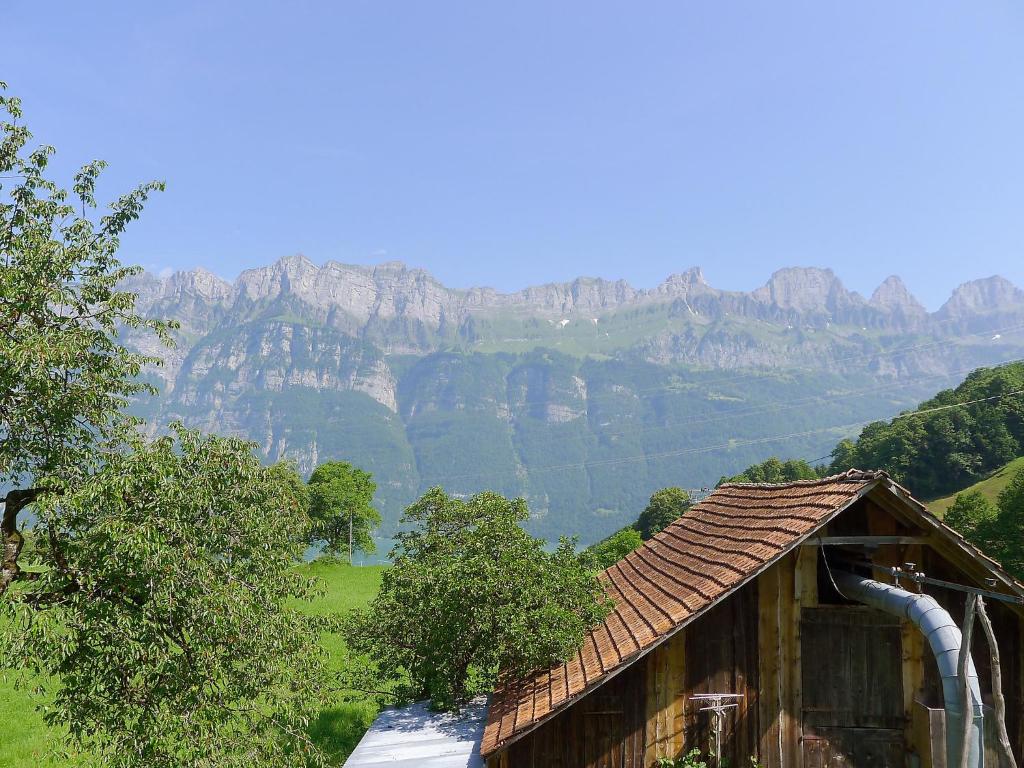 Příroda nedaleko apartmánu
