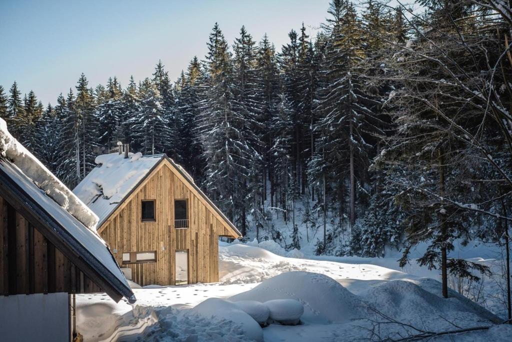 Fotografie z fotogalerie ubytování Jankův Zlatý Hamr v Janských Lázních