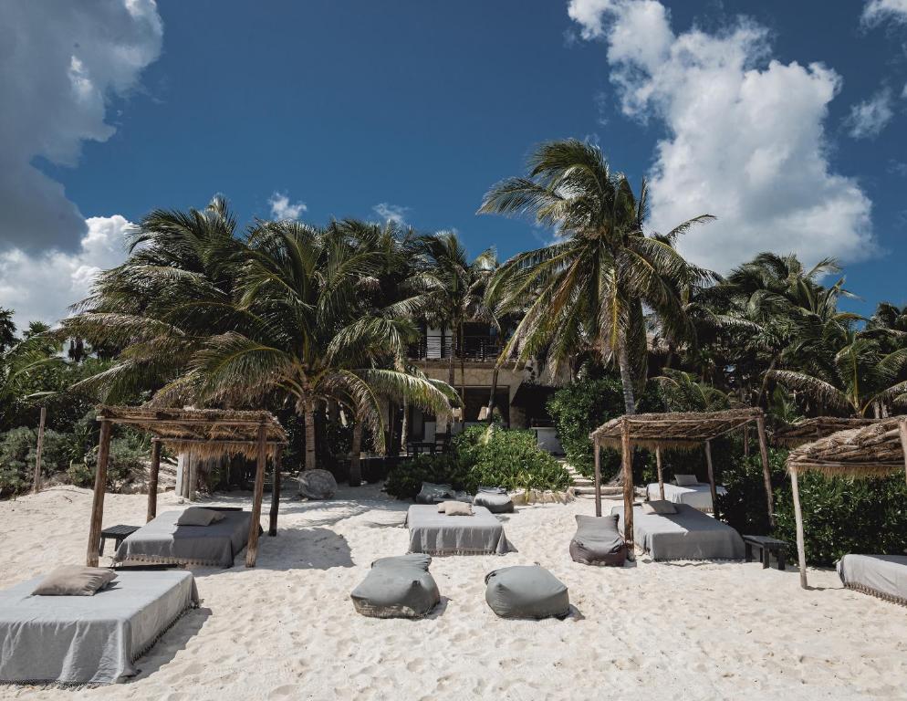 
a beach filled with palm trees and palm trees at NEST Tulum in Tulum
